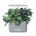 thumbnail image 6 of AeroGarden Harvest with Seed Starting System - Indoor Garden, 6 of 8