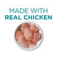 thumbnail image 6 of Purina ONE Natural High Protein Cat Food, Chicken Recipe in Wet Cat Food Gravy, 3 oz Can, 6 of 11