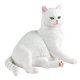thumbnail image 3 of Figura modelo de gato de simulación, estatua de gato en miniatura, figura de acción, figura de animal para niños de 5, 6, 7 y 8 años, regalos, 3 of 9