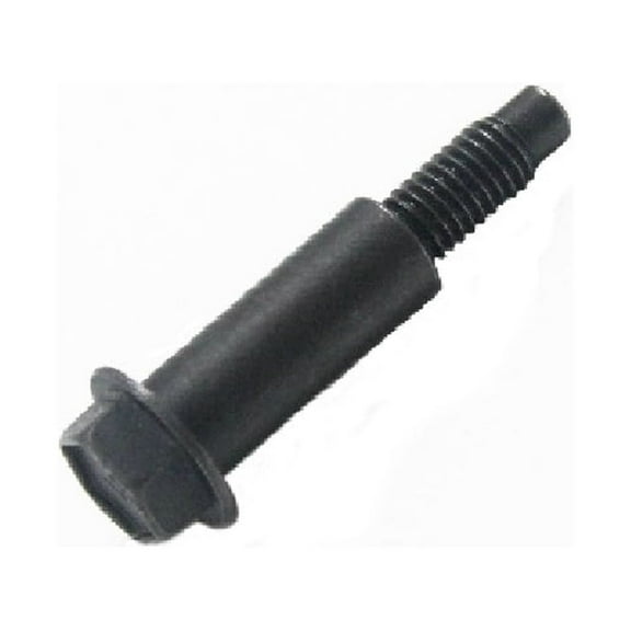 Briggs & Stratton Screw | 590586