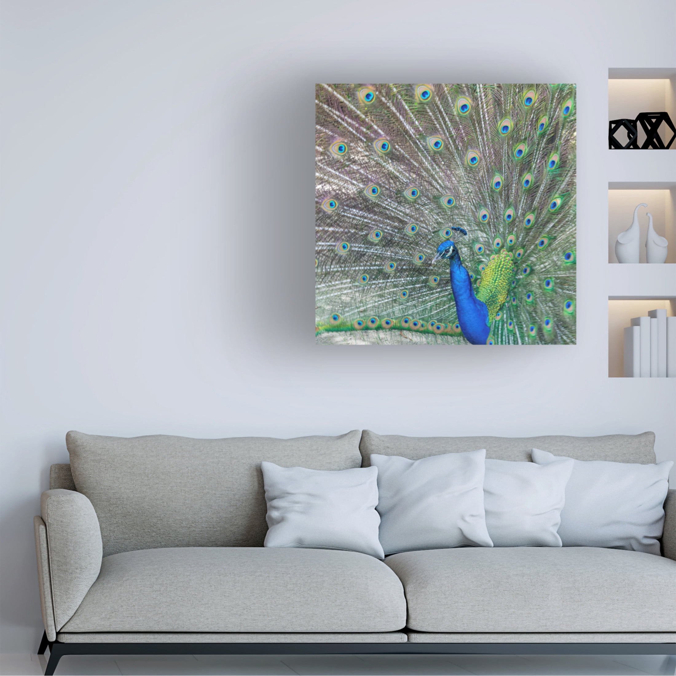 Canvas Wall Art - Danny Head 'Proud' Wall Art for Living Room, Bedroom, or Office Décor by Trademark Fine Art - 35 x 35 Inches