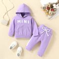 thumbnail image 2 of YOUYEDIAN Newborn Baby Girls Sweatsuit Cute Mini Hoodie Pullover+Sweatpants Outfits Infant Fall Winter Fashion Tracksuit Set Clothes (Purple, 3-6 Months), 2 of 8
