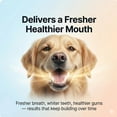 thumbnail image 5 of PupDose Dog Dental Powder, Teeth Cleaning & Tartar Removal Supplement, Fresh Breath Oral Care for Dogs, Gum Health Support, Easy Mix Food Additive for Small Medium Large Dogs (2PC), 5 of 9