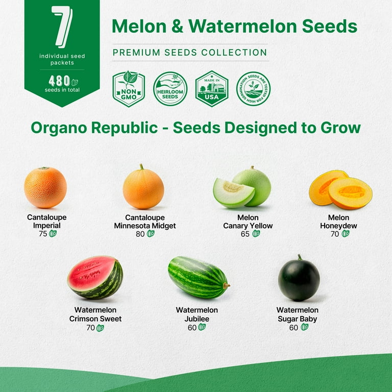 ■MELON＊■ Buy Petite Yellow Watermelon Seeds Online | McKenzie Seeds