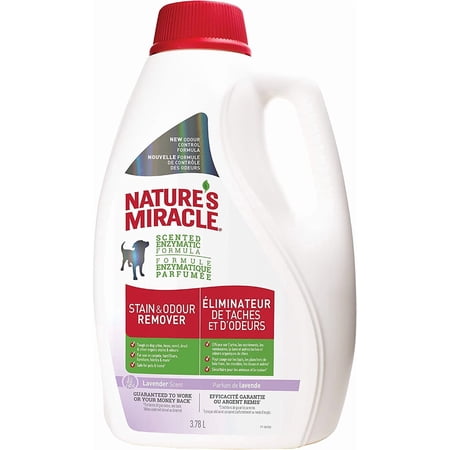 Stain and Odor Remover Lavender Scent 128 Fl Oz