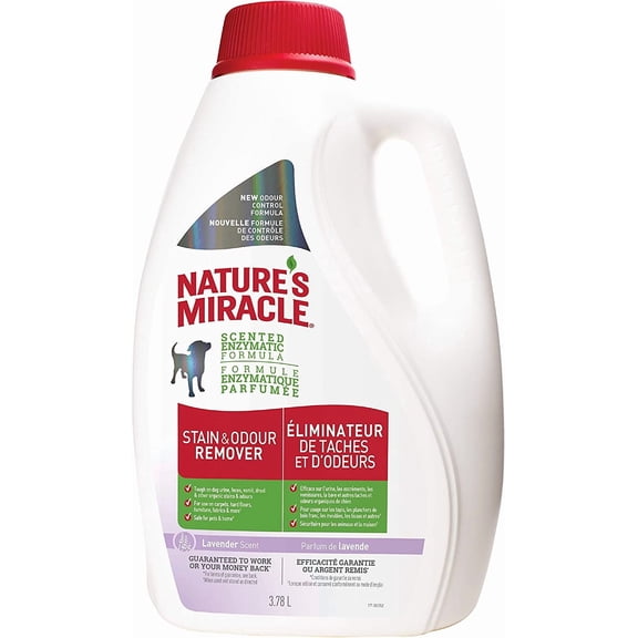 Stain and Odor Remover, Lavender Scent, 128 Fl Oz