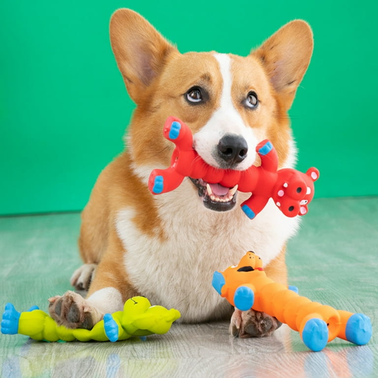 Bites Resistant Dog Toy, Toys Puppy Boredom