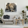 thumbnail image 3 of Stupell Industries Wildlife Gossip Lions Animals & Insects Photography Gallery Wrapped Canvas Art Print Wall Art, 48 x 36, 3 of 8