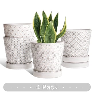indoor planter pot with stand Rattan Indoor Plant Stand, Small, Natural