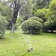thumbnail image 5 of Naiovety Aspersor oscilante de cobertura de riego ajustable para césped, fácil de limpiar, tamiz de Metal ubicado Jardín y Patio, 5 of 6