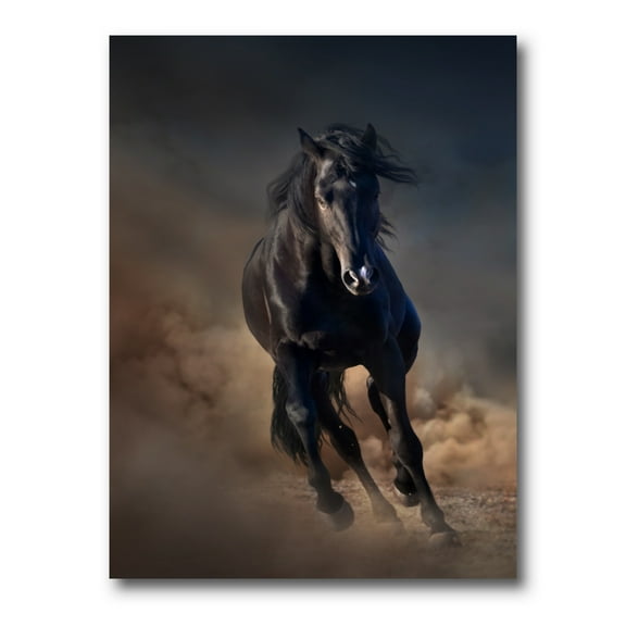 Designart ' Close Up Of Thoroughbred Nonius Stallion Horse I ' Farmhouse Canvas Wall Art Print