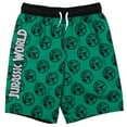 thumbnail image 4 of Jurassic World Dinosaur Big Boys Rash Guard and Swim Trunks Outfit Set Little Kid to Big Kid, 4 of 5