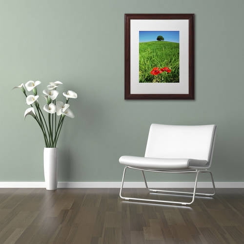 Trademark Fine Art 'Red Poppies and Oak' Canvas Art by Michael Blanchette Photography, White Matte, Wood Frame