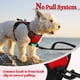thumbnail image 5 of Arnés para perros Rabbitgoo, sin tirones, ajustable, rojo, para perros XS, 5 of 8