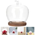 thumbnail image 4 of Apple Shape Preserved Flower Protective Cover Glass Doll Cover Valentine's Day Flower Display Cover, 4 of 8