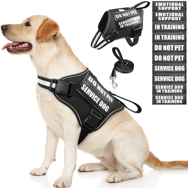 Conjunto de chaleco, arnés y correa para perros de servicio MOOGROU Black L