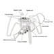 thumbnail image 4 of Estufa de Casete Portátil Spider con Potencia de Fuego Plegable, Encendedor para Acampar Al Aire Libre, Senderismo, Utensilios de Cocina de Supervivencia para Pícnic B, 4 of 5