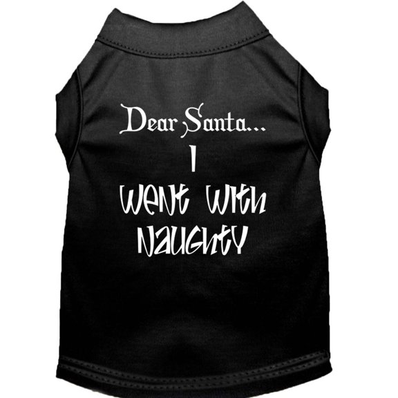 Dear Santa I Went with Naughty Screen Print Shirts Black XS (8)