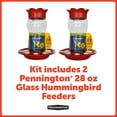 thumbnail image 4 of Pennington Red Glass Hummingbird Bird Feeder, 28 oz. Capacity, 2 Pack, 4 of 12