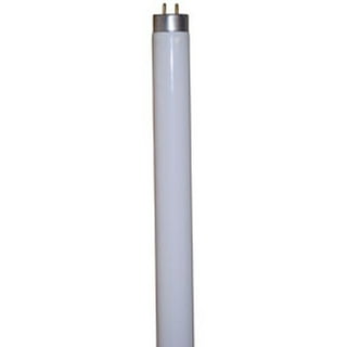 F32t8 Sp41