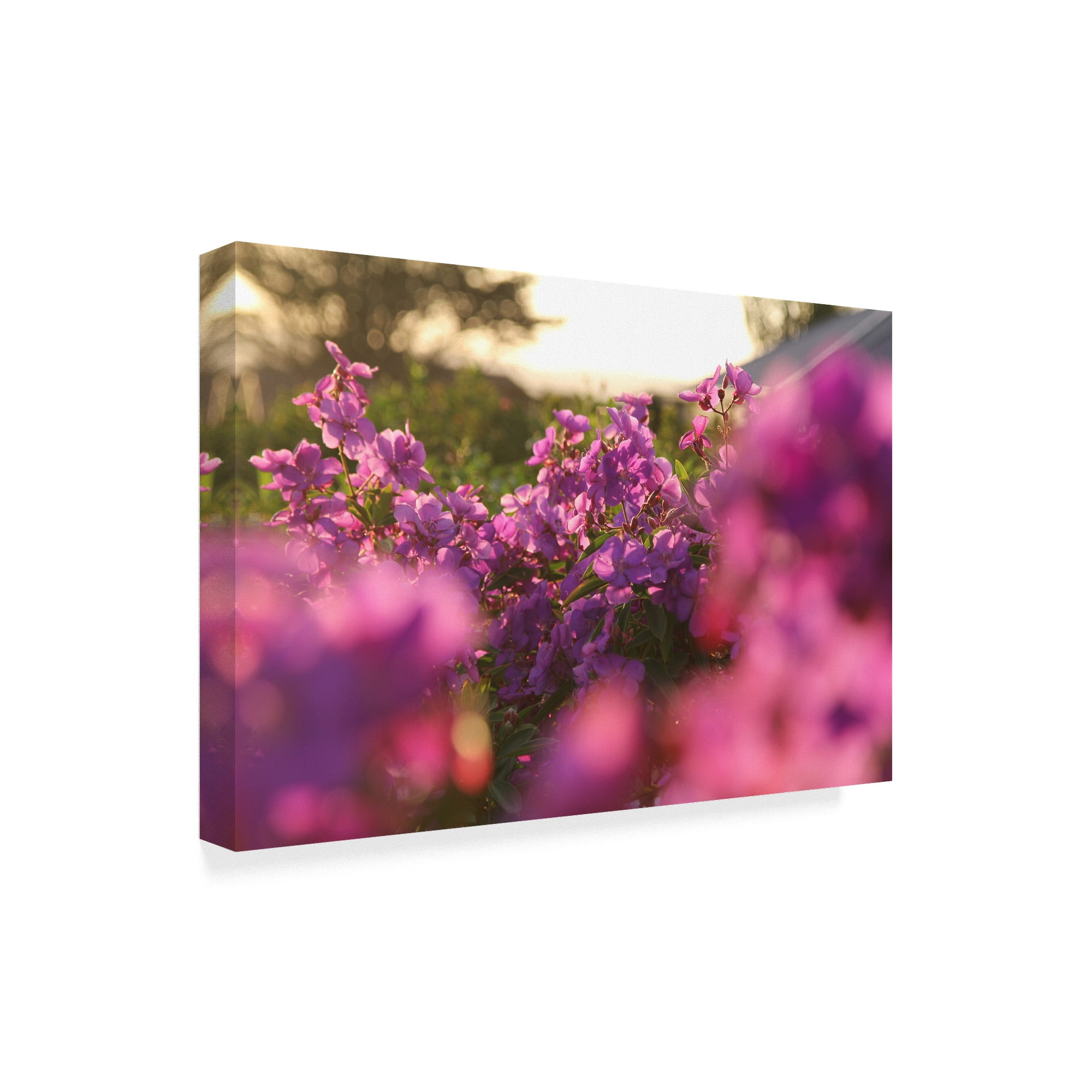 Trademark Fine Art 'Painting With Pink' Canvas Art by Incredi