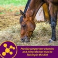 thumbnail image 4 of Suplemento Horse Health, gránulos de glóbulos rojos, 1,8 kg, suministro para 64 días, 4 of 9