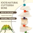 thumbnail image 4 of Bird Cuttlebone Chew Toys, Natural Cuttlefish Bone for Birds Beak Grinding & Calcium Supplement, Hanging Cage Accessories for Small Medium Birds S, 4 of 8