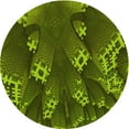 thumbnail image 1 of Ahgly Company Machine Washable Indoor Round Transitional Dark Forest Green Area Rugs, 6' Round, 1 of 7