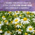 thumbnail image 4 of Garden of Life Organics Sleep Well Rest & Refresh 30 Tablets, Lemon Balm, Green Tea Extract L-Theanine, Valerian Root, Chamomile, Probiotics-Organic Non-GMO Vegan Gluten Free Herbal Supplement, 4 of 7