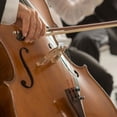 thumbnail image 1 of YOSADIER 1Pc Violoncello Zinc Alloy Volume Reduction for Home Use Musicians, 1 of 7