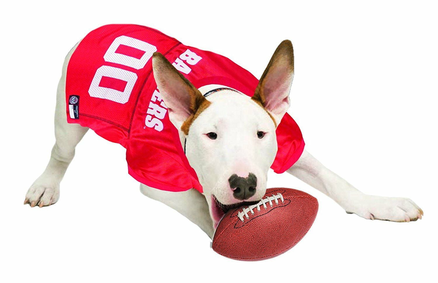 NCAA Wisconsin Badgers Mesh Dog Football Pet Jersey