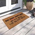 thumbnail image 4 of Spring Doormat Decorative Indoor Front Door Floor Mat Entry Rug Outdoor Boot Scraper Non Slip Backing for Kitchen mats, Front Back Doors, Pets and Dogs, Home Indoor Outdoor Decorations, 4 of 4