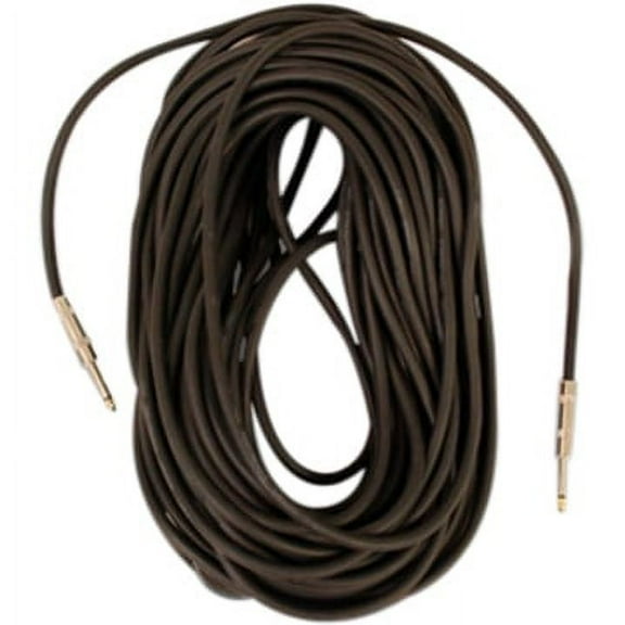 Seismic Audio FS100 1/4" to 1/4" Speaker Cable 100'