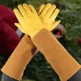 thumbnail image 1 of Gardening Gloves Rose Pruning Thorn Cut Proof Bushes Long Gauntlet Cowhide Work, 1 of 11