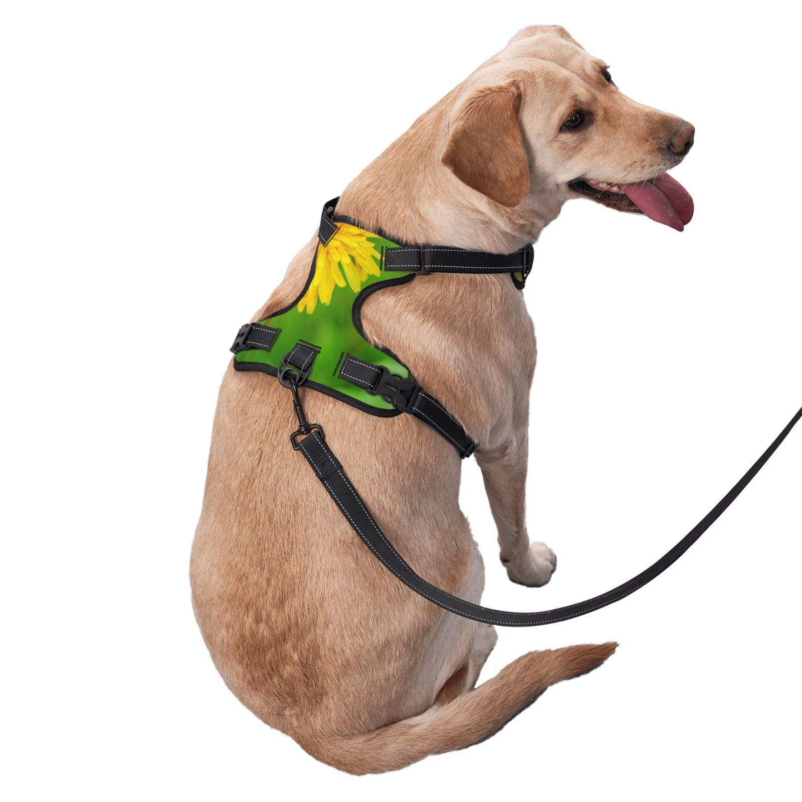 Vsdgher Bees Pollinates A Yellow Dandelion Dog Harness, No-Pull Pet Harness, Dog Vest, Pet Vest for Small to Large Dogs-Large