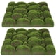 thumbnail image 4 of alfombrillas de musgo, panel de pared de musgo, decoración de pared de musgo artificial, musgo de jardín artificial, decoración de paisaje, 4 of 7