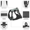 thumbnail image 6 of Gaeub Pirate Adventure Map Gaeub Pirate Adventure Map No Pull Dog Harness, Secure and Adjustable Pet Vest for Outdoor Activities - Medium, 6 of 8