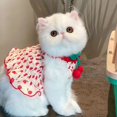 thumbnail image 2 of Ropa para perros y mascotas, falda con tirantes de verano, con barba, osito de peluche, para perros, cachorros y gatos, camiseta sin mangas de princesa, falda fina bonita, 2 of 5