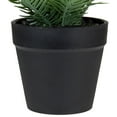 thumbnail image 4 of Northlight Artificial Chinese Yew Plant in Black Pot - 7.5", 4 of 5