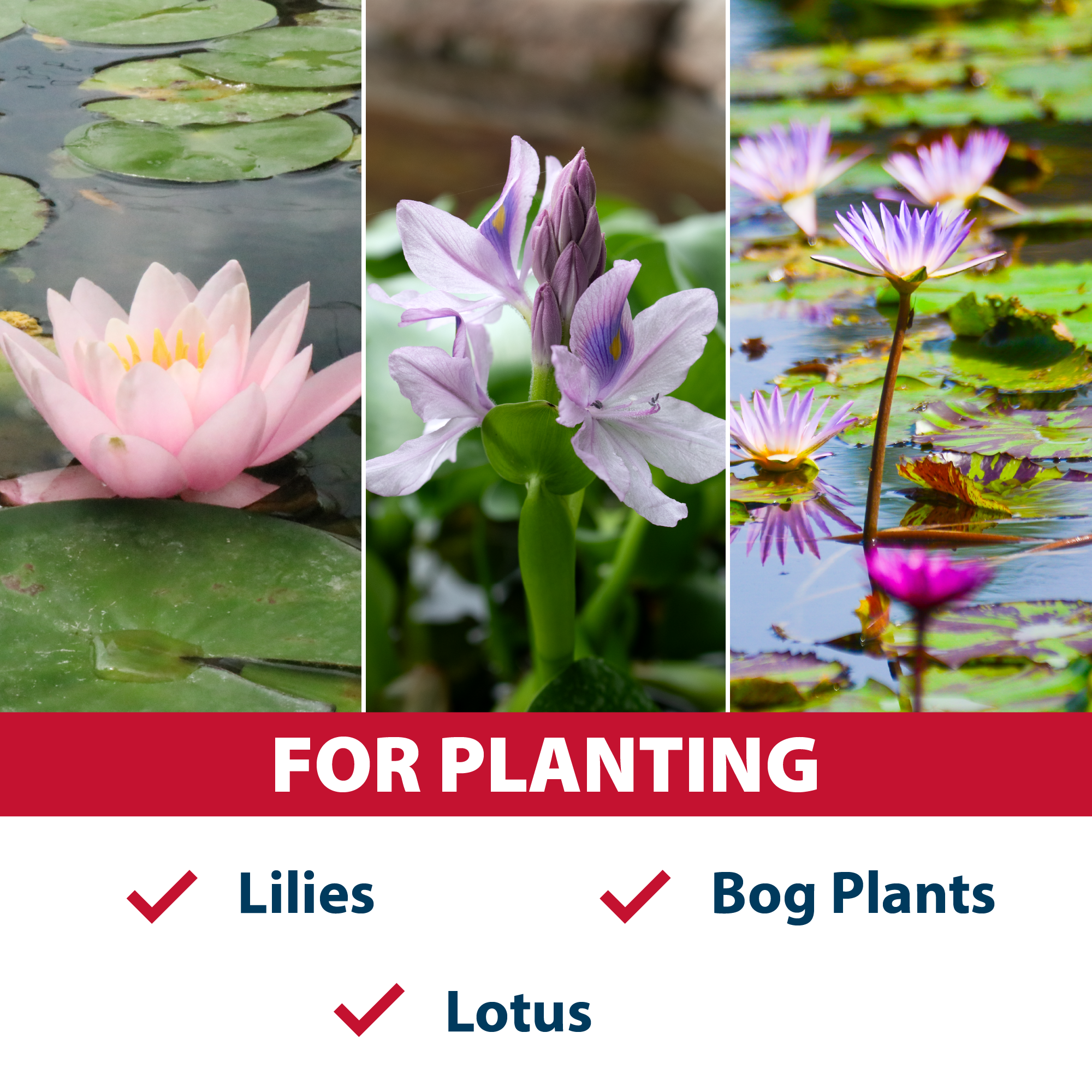 The Pond Guy Planting Soil for Decorative Backyard Water Gardens & Patio Ponds, Premium Natural Plant Media for Aquatic Horticulture, 8 Quarts
