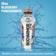 BODYARMOR LYTE Sports Drink, Blueberry Pomegranate, 16 Fl. Oz., 12