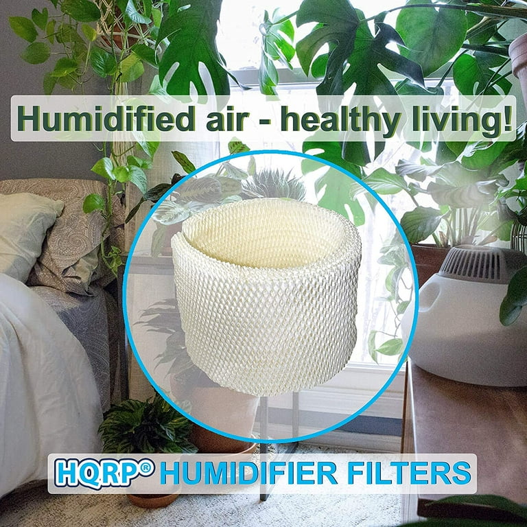 Maf2 filter walmart deals