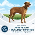 thumbnail image 5 of Purina ONE Plus Real Chicken High-Protein Large Breed Dog Food, 16.5 lb, 5 of 13
