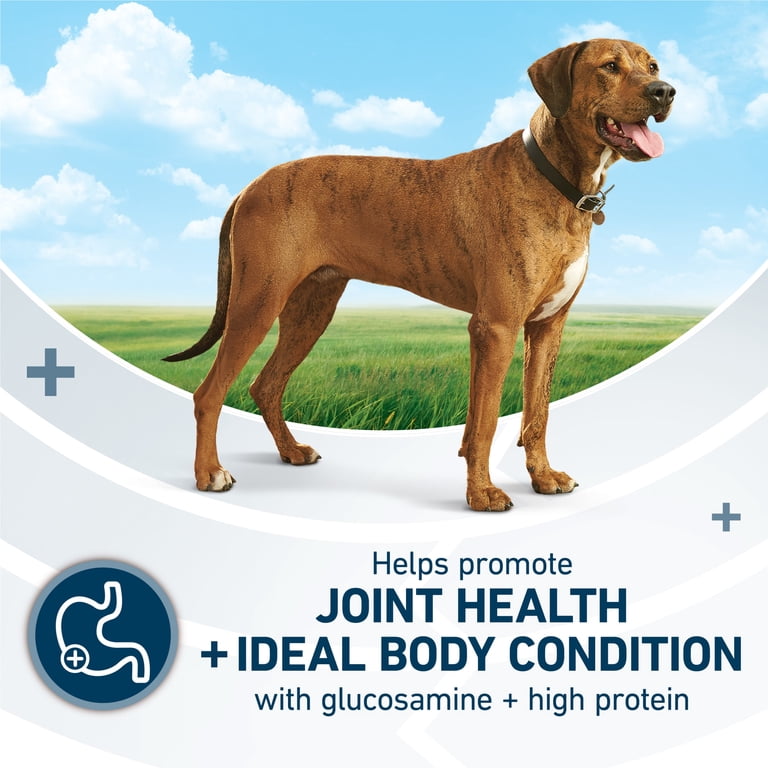 Purina ONE Plus Large Breed High-Protein Dog Food, 40 lb photo 4