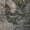 Gray, variant on Addison Rugs Dream Shag Premium Machine Washable Transitional Abstract Fauna Denim Rectangle Rug, 10' x 14'