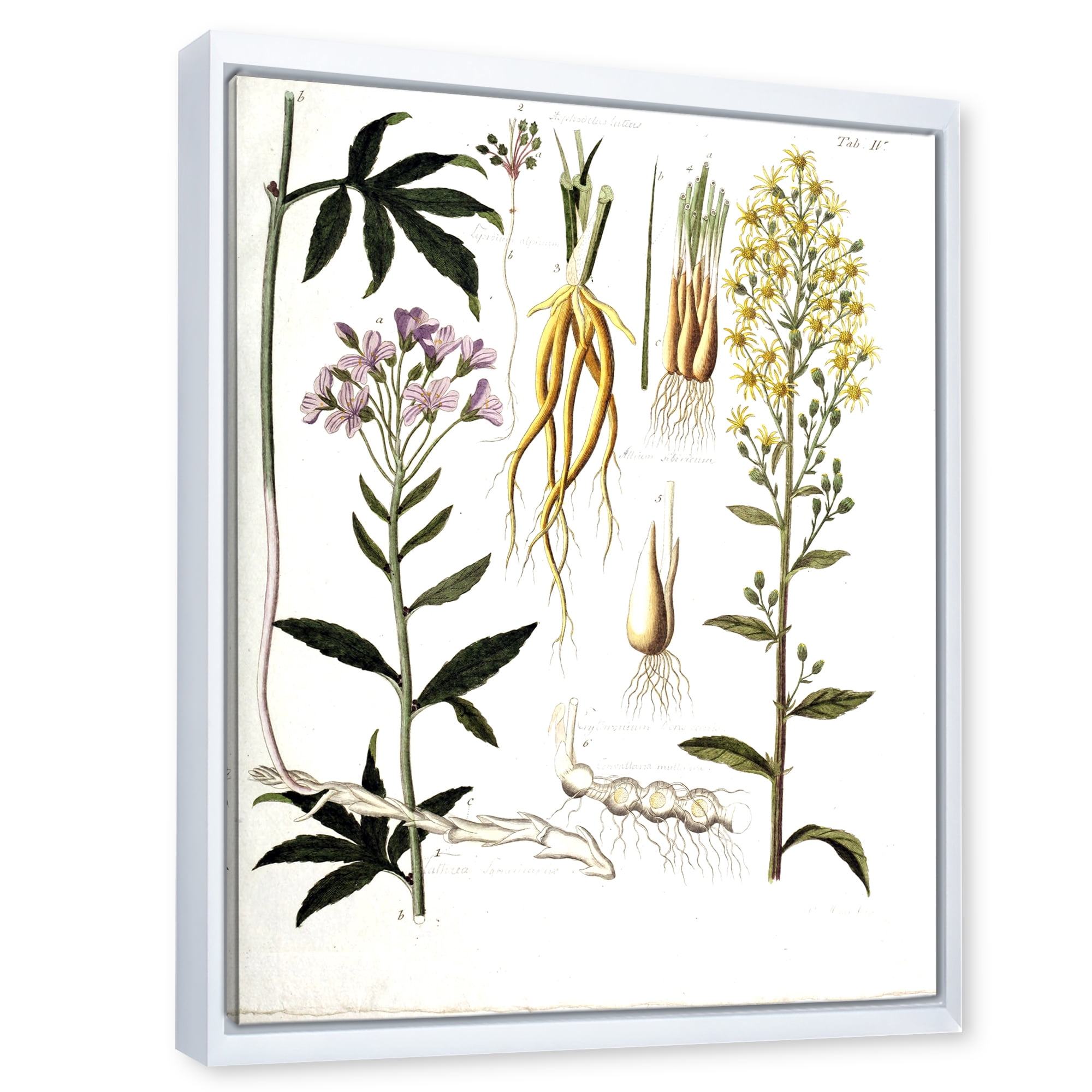 Designart 'Ancient Plant Life VIII' Farmhouse Framed Canvas Wall Art Print
