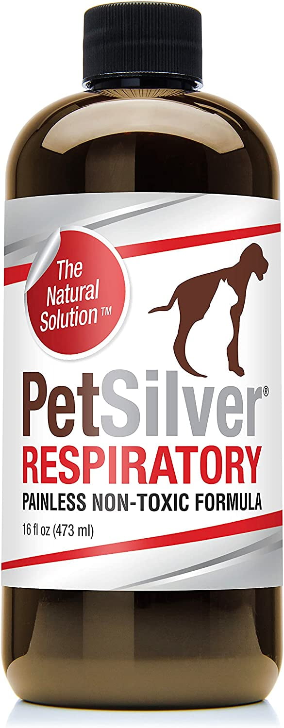 PetSilver Respiratory Solution with Chelated Silver for Cats and Dogs,  Gentle Allergen Free Formula, Use with Nebulizer or Syringe, Fragrance and  Flavor Free, 16 oz. 