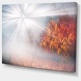 thumbnail image 2 of Misty Sun in Red Autumn Forest, 2 of 3