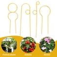 thumbnail image 3 of EXHUMKY 4Ud Soporte De Hierro Dorado Para Plantas Trepadoras Accesorio De Jardinería Interior, 3 of 8