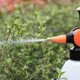 thumbnail image 3 of Nice Neat Mr. Botella de agua y spray para plantas y jardines - Mr. Mister - Pulverizador de 1,5 litros con boquilla de presión ajustable Ormromra PTL061, 3 of 4